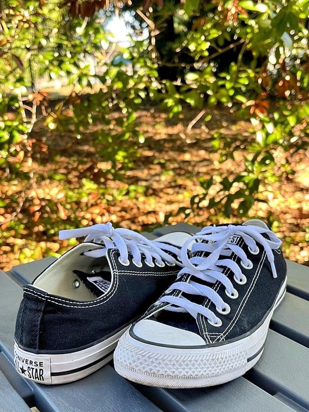 Converse Chuck Taylor All Star Low Top Black & White Sneakers